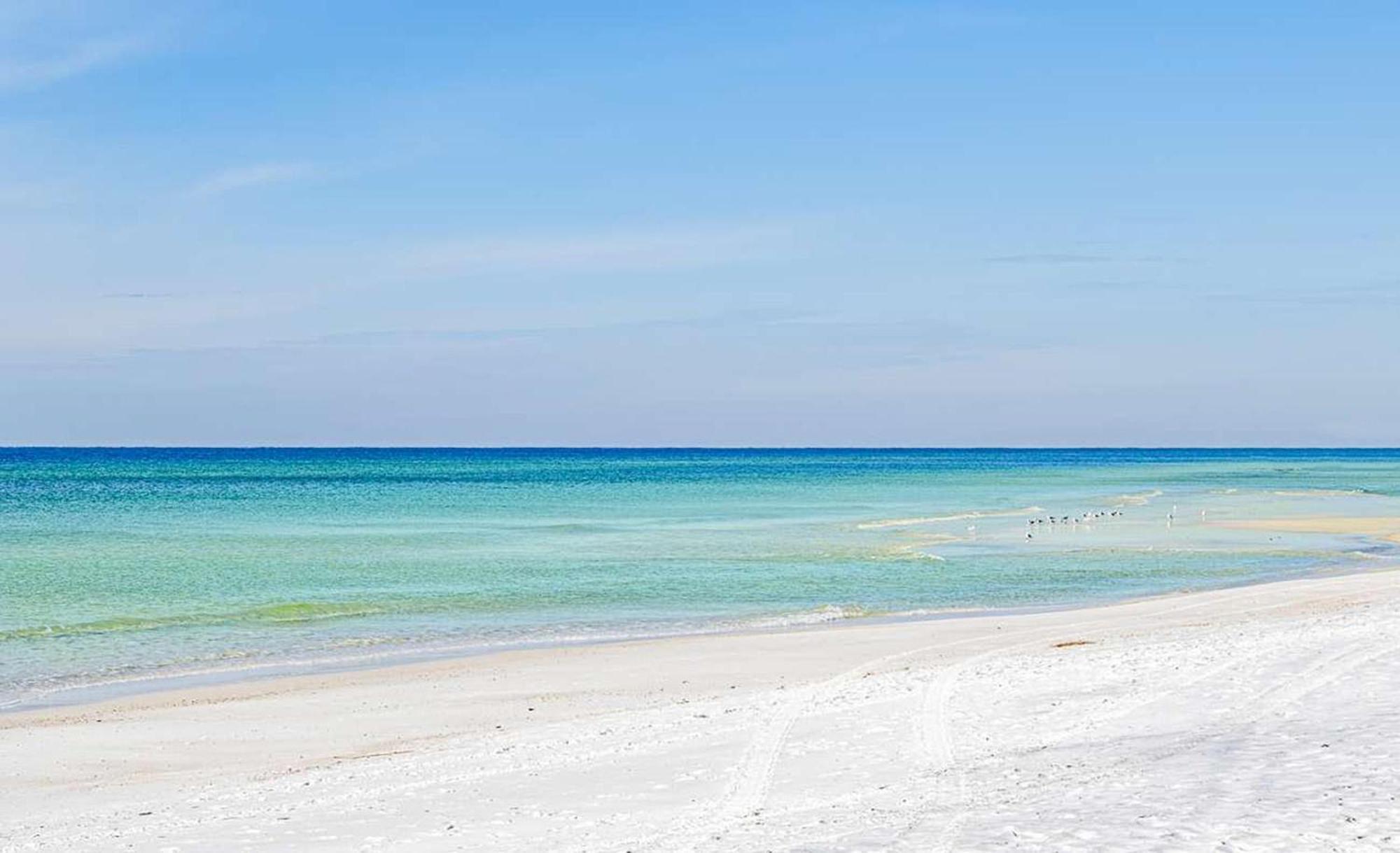 Majestic Beach Towers 1-1803 Panama City Beach Exteriér fotografie
